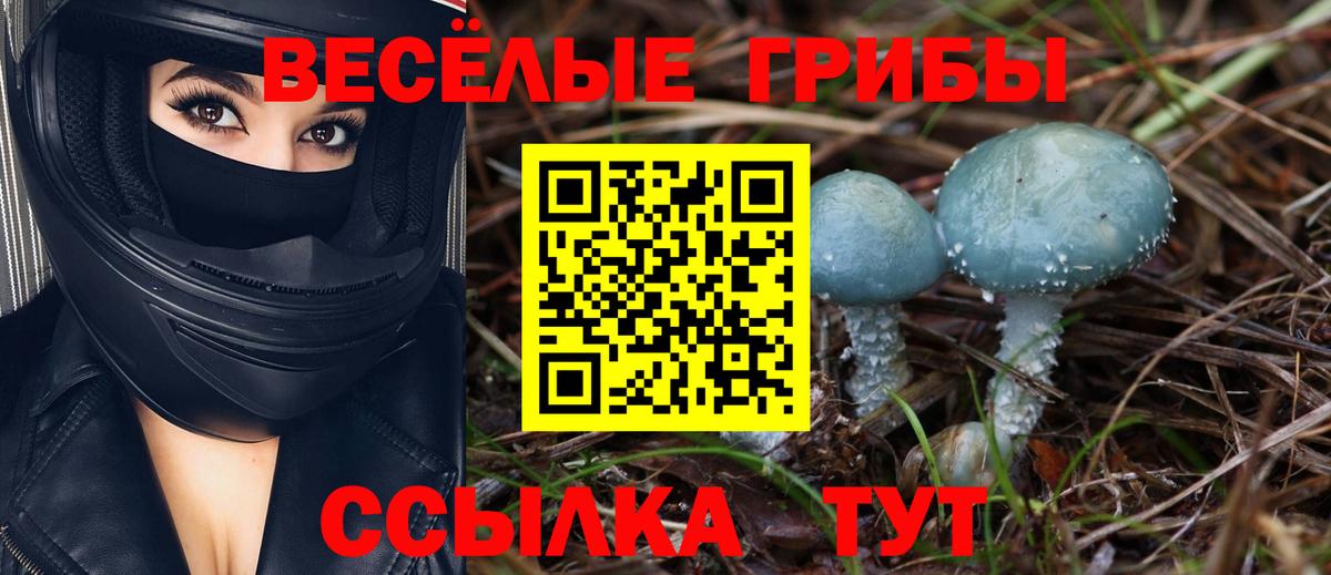 Псилоцибиновые грибы Psilocybine cubensis  продажа наркотиков  Котовск  Вход с VPN 